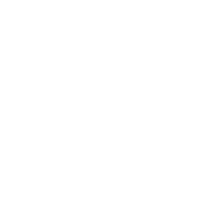 Colegio Oficial de Ingenieros Agrónomos de Levante blanco 240X240