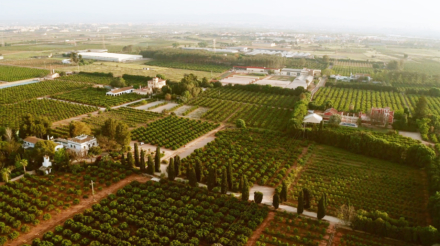 Aérea Huerta Picaña