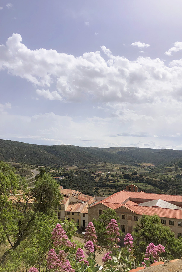 Morella vertical 2