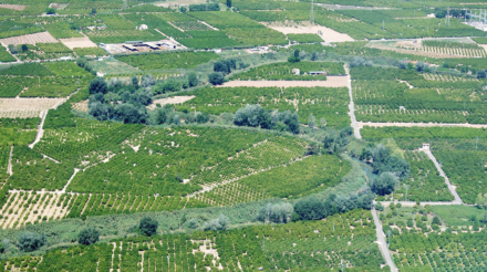 Paisaje Ribera del Xúquer2