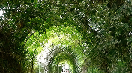 tunel hort trenor vertical