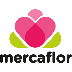 MERCAFLOR color 240X240