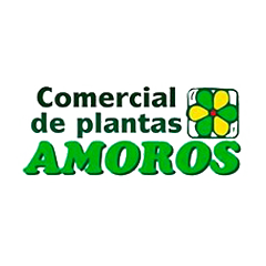 comercial de plantas amoros color 240x240