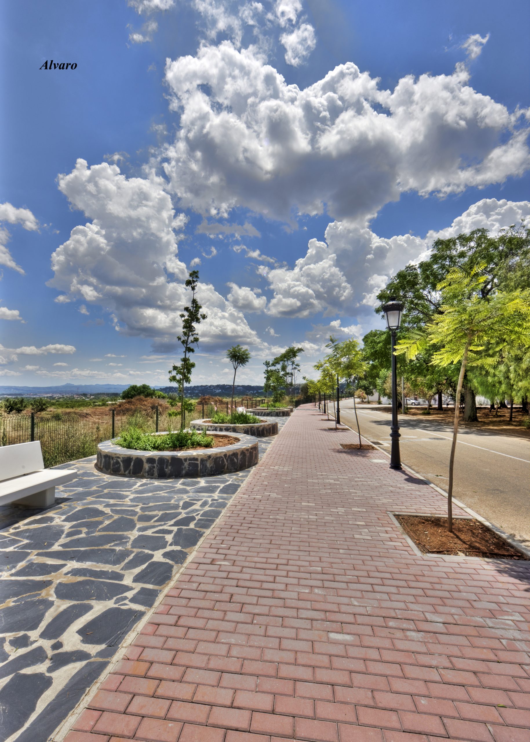 paseo-calle-nuestra-senora-del-rocio-scaled