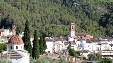 Genérica Ludiente 3