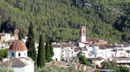 Genérica Ludiente 3