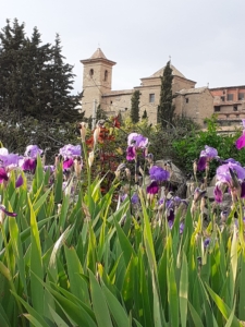 Villores (1)