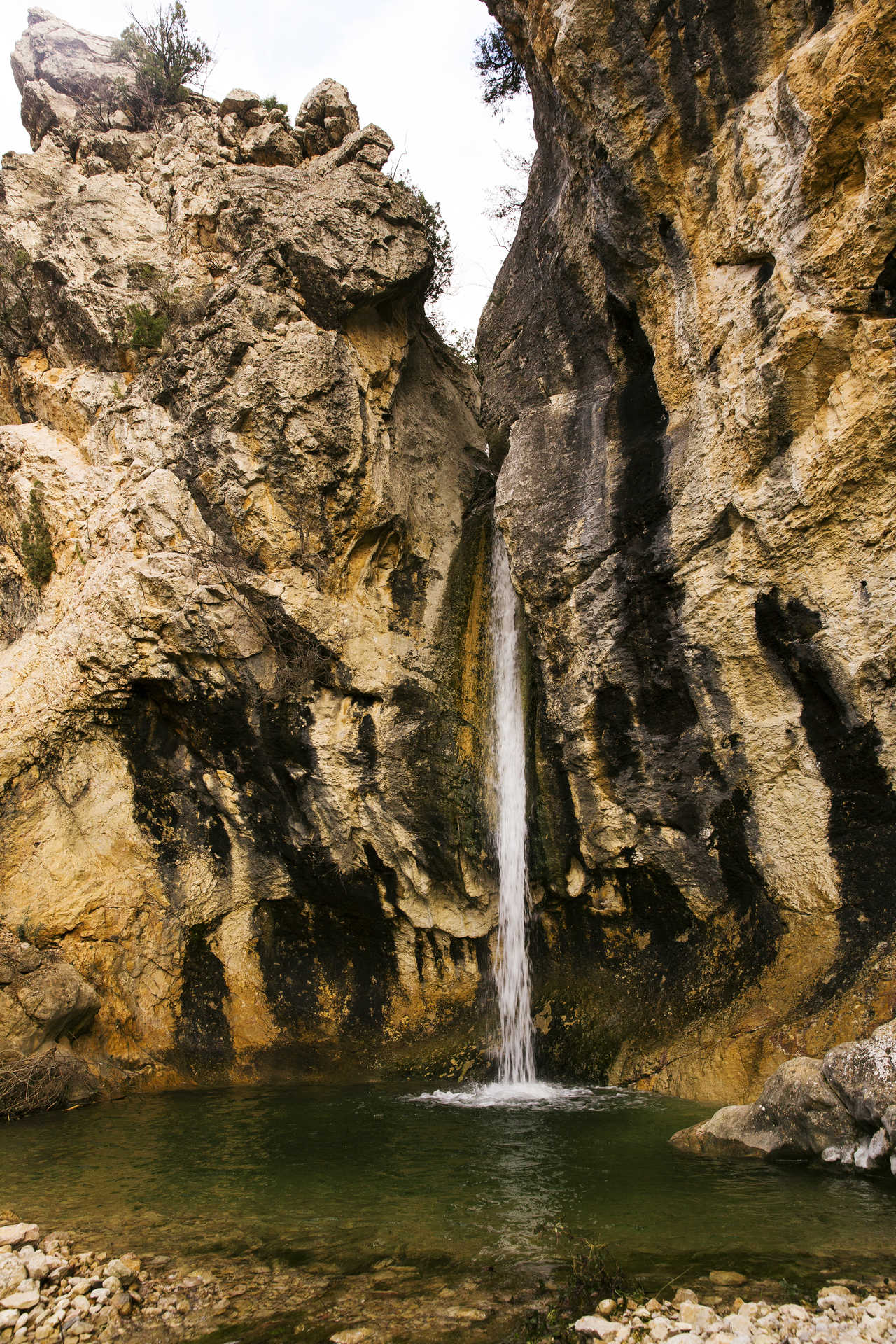 Herbers_Img_Botado_5