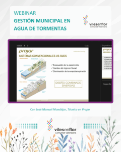 Viles en Flor_NuevoFormatoIG (9)