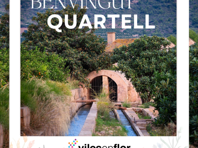 Viles en Flor_NuevoFormatoIG (28)