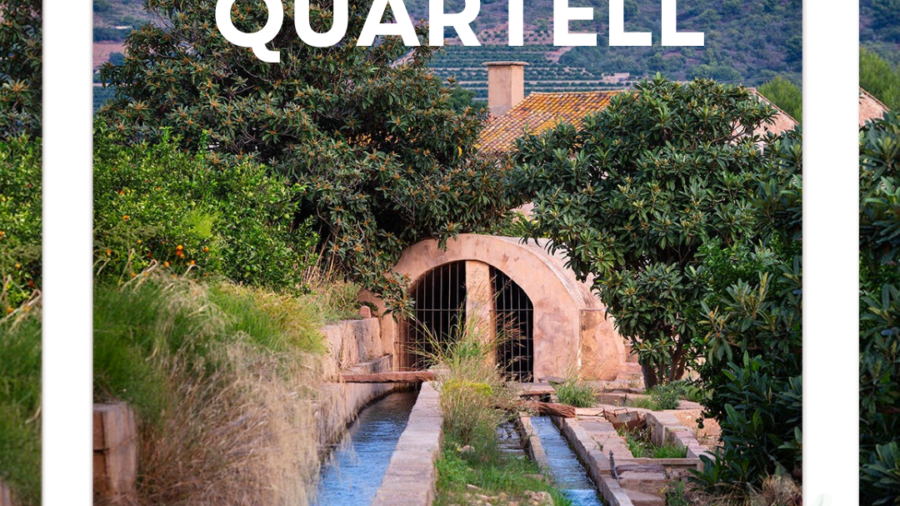 Viles en Flor_NuevoFormatoIG (28)