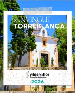 Viles en Flor_NuevoFormatoIG