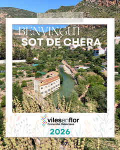 Viles en Flor_NuevoFormatoIG (31)