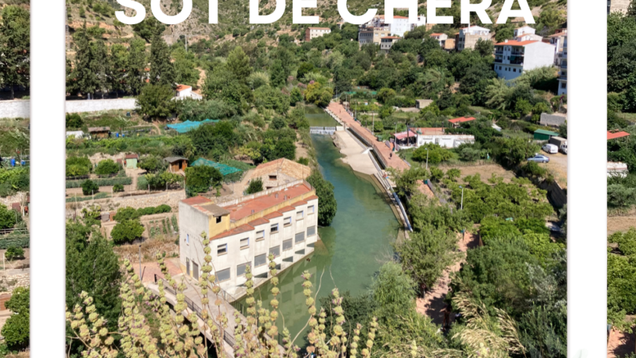 Viles en Flor_NuevoFormatoIG (31)