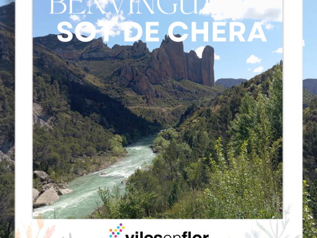 Viles en Flor_NuevoFormatoIG (33)