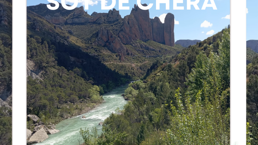 Viles en Flor_NuevoFormatoIG (33)