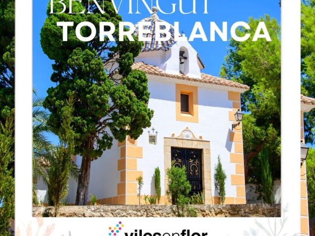 Viles en Flor_NuevoFormatoIG