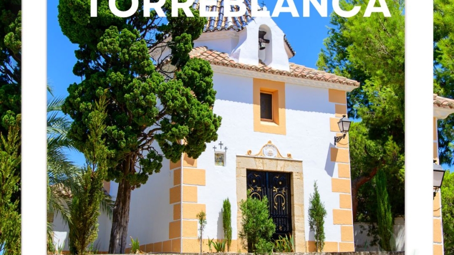 Viles en Flor_NuevoFormatoIG